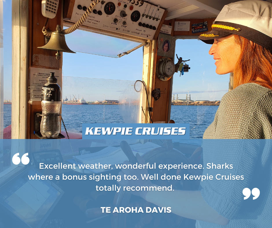 kewpie cruises reviews